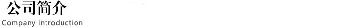 公司簡(jiǎn)介.jpg